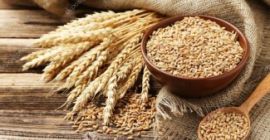We sell ORGANIC SPELT with eco certificate, COI and