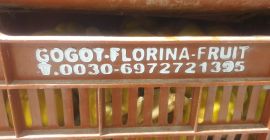 FIA -GOGOT -FRUIT va ofera produse de calitate si