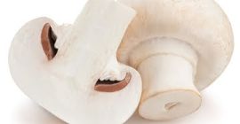 I will sell wholesale quantities of white mushrooms. Year-round