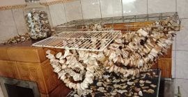 SELL DRIED MUSHROOMS FRESH FOREST MUSHROOMS BOLETUS, PRICE - AGRICULTURAL EXCHANGE, Agro-Market24