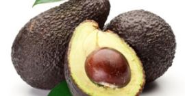 We mainly export avocados such as Hass and Fuerte.