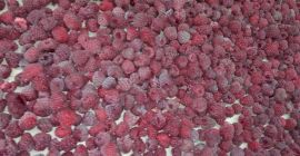 Продајем малину Виламет.Одличан квалитет.Паковање 10-12кг