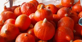 Hello, I am selling about 3 tons of organic