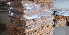 Ich werde Vineta- und Bellarosa-Kartoffeln verkaufen