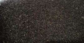 Buckwheat, Panda variety, this year&#39;s harvest, not sprayed, cleaned,