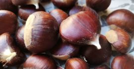 Fresh chestnuts of various sizes