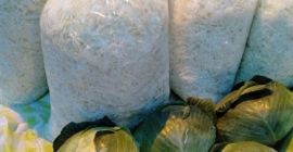 Продам нашинкованную капусту для засолки. Измельчены по заказу. Очень