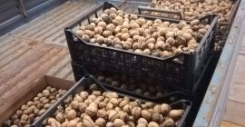 Избрани първи избор органични местни ядки.