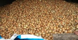 I will sell an onion. The quantity to be