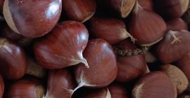 Nagyon édes, gesztenye az El Bierzo-ból