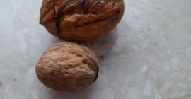 Eladom az idei biodiót. 2 méretem van. Ár 5