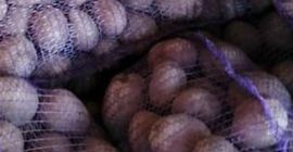 I will sell Bellarosa potatoes in bulk quantities. I