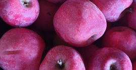 Äpfel, Sorten Florina/Idared, zum Verzehr, von Hand gepflückt, verkaufe