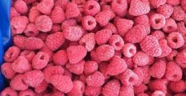 Raspeberry сорт: ранен оригинал