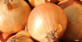 We are buying large quantities of fresh yellow onion