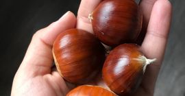 Rich Bierzo chestnuts, good quality and recently picked, exquisite