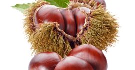 I sell chestnuts from Ourense of very good quality