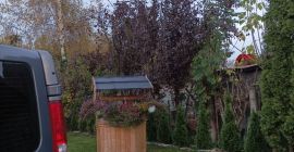 Salve, vendo noci della stagione 2022, ho 300 kg,