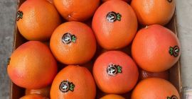 nagykereskedelem Törökországból származó grapefruit, citrusfélék, zöldségek és gyümölcsök. Minimális