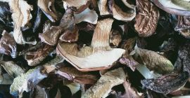 This year&#39;s dried mushrooms