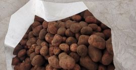 Hello, I will sell bellarosa potatoes 12 tons in
