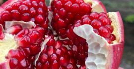 SELL FRESH FRUITS FRESH POMEGRANATE, PRICE - INTERNATIONAL AGRICULTURAL EXCHANGE, Agro-Market24