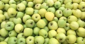 Zu verkaufen, 16 Goldene Paletten, Größe: 50% vom 6.5.