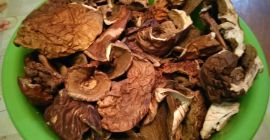 Hello, I have dried boletus mushrooms for sale, the