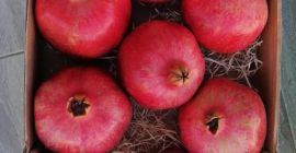 I will deliver fresh organic pomegranates directly from the