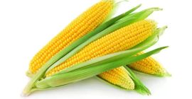 Продам в больших количествах сухую кукурузу Для получения дополнительной