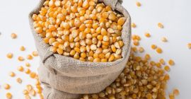 Posso consegnare grandi quantità di mais, grano e altri