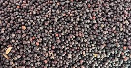 Польская компания продает рапс украинского производства с доставкой. Упаковка