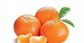 Clementine mandarine de vânzare.