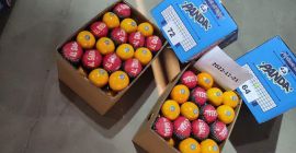 Arancia egiziana di alta qualità. Direttamente dal produttore. Ordine