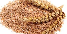 bread wheat at the price of fodder wheat