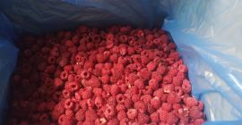 80/20 ZMEURA CONGELATA IN CUTII DE CARTON, DE- ASEMENEA