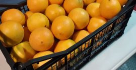I will sell Spanish nevelina oranges, very sweet, seedless,
