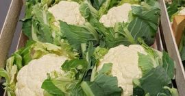 We have many vegetables for sale. We invite you