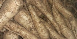 Atika parsley for sale commercial (price to be agreed)