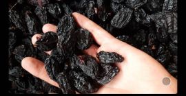 Vendita prugne secche con e senza crosta