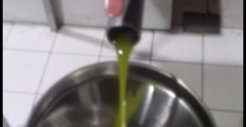 ВИСОКО КВАЛИТЕТНО МАСЛИНОВО УЉЕ. Из сопственог маслиника Врсте сорти: