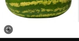 Wassermelonen von 8 bis 12 Kilo pro Einheit. Sie