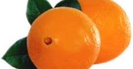 Különféle fajtáink vannak: narancs, valencia, nektarin, köldök kiváló minőségű