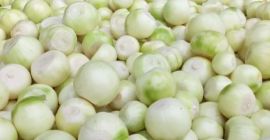 Hello, I will sell peeled onions, cal. 4+ Healthy