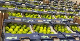 Limetten Tahiti EXW-Preis Rotterdam: 7 EUR/4,5 KG Marke: FRESKUS