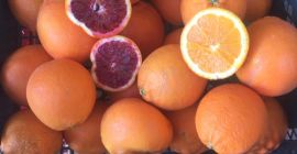 For sale red pulp oranges