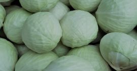 Hello, I will sell white market cabbage 1-4 kg