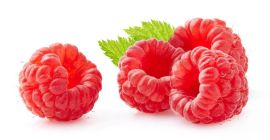 Guten Tag, wir sind Hersteller von Tafelhimbeeren der Sorten