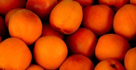 One of Greece s top producers of apricots, cherries,