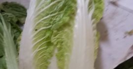 I will sell Beijing cabbage, please contact me for